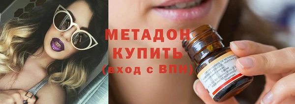прущие грибы Богданович
