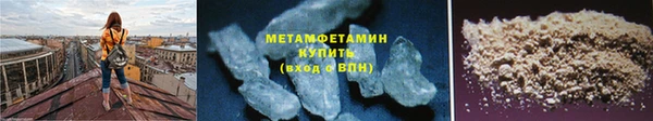 прущие грибы Богданович