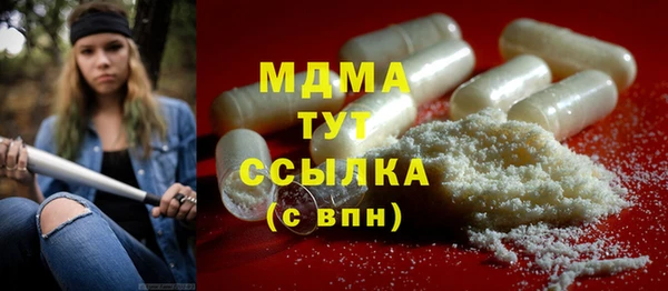прущие грибы Богданович