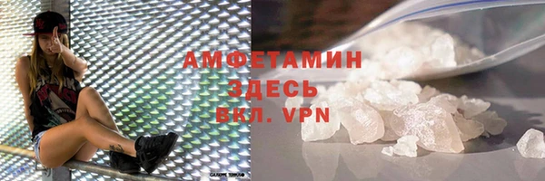 прущие грибы Богданович