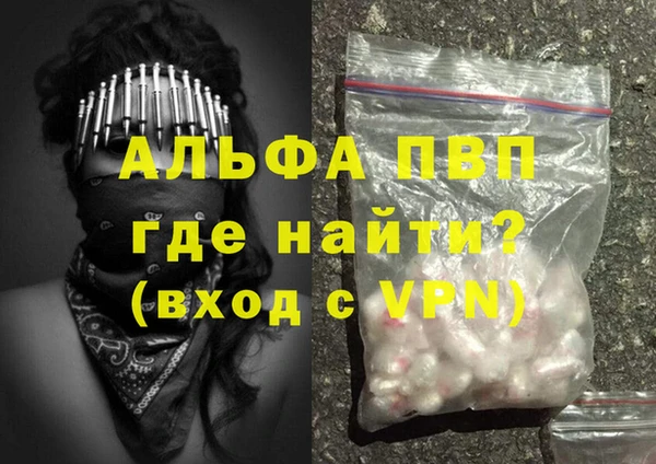 прущие грибы Богданович